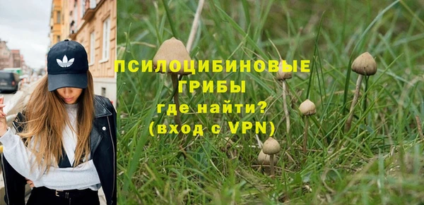 шишки Алексин